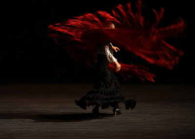 María Pageogiu seudónimo flamenco rojo “Solea”